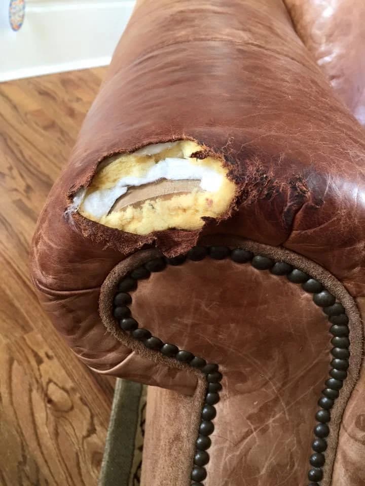 Cognac leather chair arm showing damage with foam exposed before repair